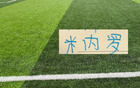 年底都到期! 为什么申花非要提前3个月解约米内罗