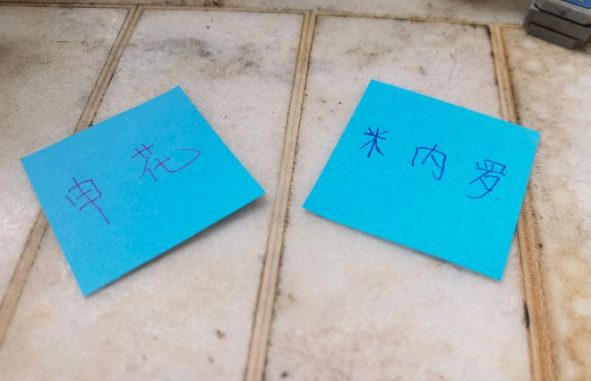申花坏消息不断 杯赛被淘汰 米内罗停赛3场 | 第26轮中超 海港VS北京国安 都有CCTV直播